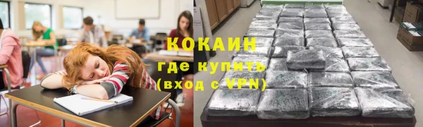 тгк Няндома