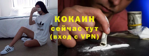 тгк Няндома