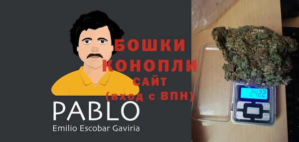 PSILOCYBIN Нязепетровск
