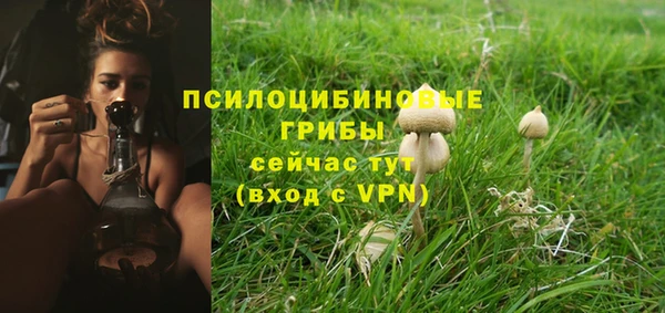 круглые Осинники