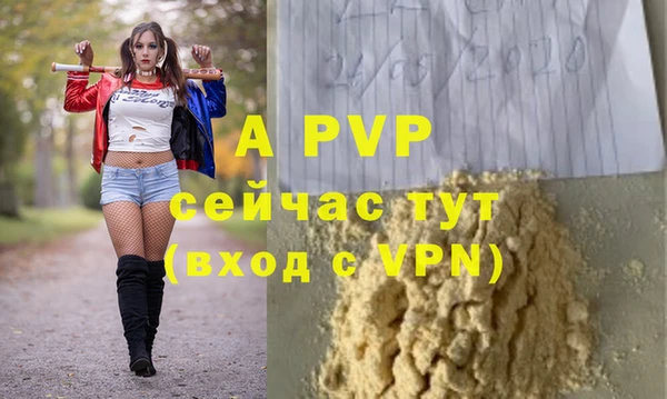 круглые Осинники