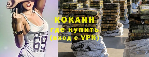 твердый Осташков