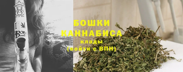 твердый Осташков