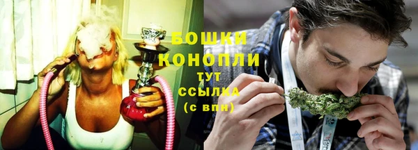 твердый Осташков