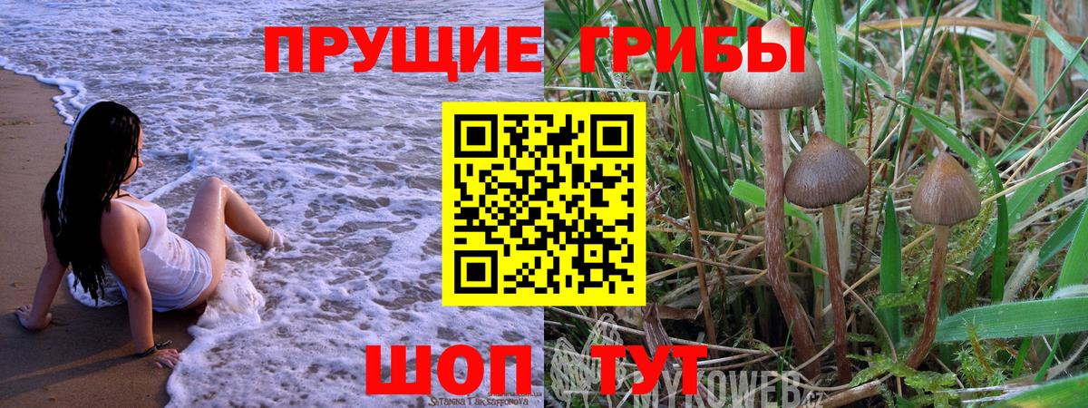 Псилоцибиновые грибы мицелий  Вход с VPN  Лосино-Петровский 